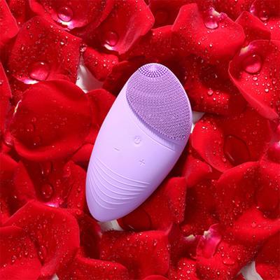 China For commercial & Home Use Sonic Vibration Mini Cleaner Deep Pore Skin Massager Electric Facial Cleansing Brush Silicone Facial Cleansing Brush for sale