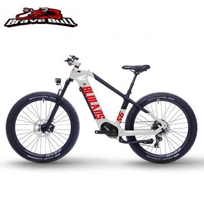 China BLULANS Customized Alloy Rack Cinese Wholesales Mountain Bike 2500w Offroad Folding for sale