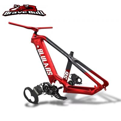 China BLULANS Customized Alloy Rack S Best Price Fully Automatic Customized Led Bike 500w Modern Electric Bicycle for sale