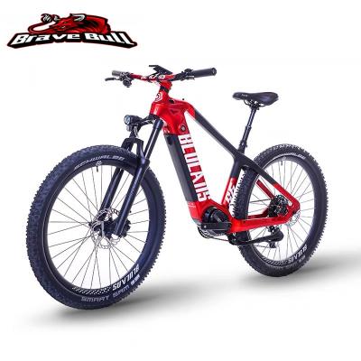 China BLULANS Customized Alloy Rack S China Manufacturer Battery S6 350W/500W 36V 16ah Bikes Electric Bicycle for sale