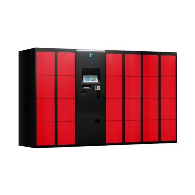 China Utilities Pin Code Recognition Smart Storage Locker for Theme Park for sale