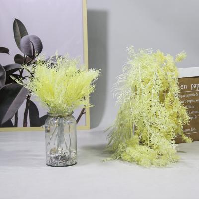 China G8550 Eco-friendly Many Years Plant Plants Wedding Decoration Artificial Plants For Wedding Event for sale