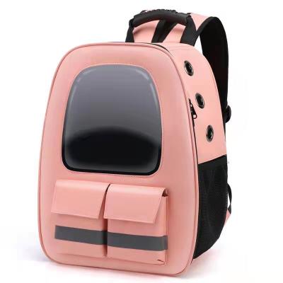 China PortableTransparent ExpaDogs Cat Crate Travel Carrier Bagndable Breathable Backpack Stocked Carry Bag For Pet Custom Color Logo for sale