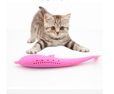 China Amazon Style Simulation Stocked Fish Trains Interactive Pets Rest Healthy Toy Cat Toy Pet Cat Toothbrush With Catnip for sale