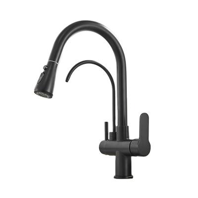 China Pull Out Spray 3 In 1 Kitchen Faucet Stainless Steel Double Spout Kitchen Mixer Tap for sale