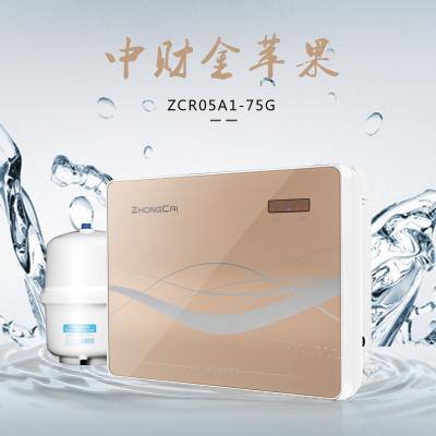 China Household [Zhongcai] 5 Stage Reverse Osmosis Home Water Filter System for sale