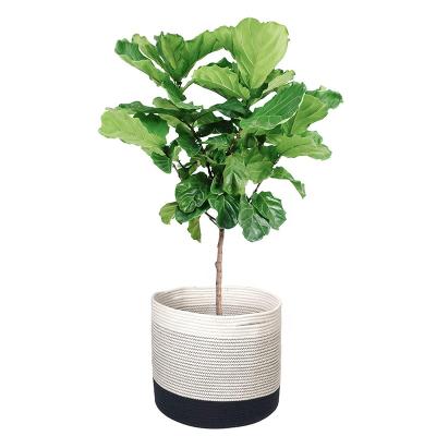 China Modern Woven Rope Plant Basket Cotton Rope Plant Basket Storage Basket for Indoor Floor Planter for sale