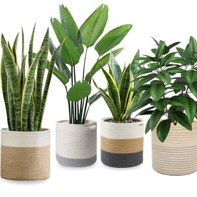 China Modern Rope Woven Plant Basket Flower Plant Storage Woven Basket For Indoor Floor Planter for sale