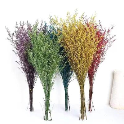 China Dried Limonium Flowers Wholesale Grass Misty Limonium Natural Dry Flowers Valentine Grass Lover Decorations For Wedding for sale