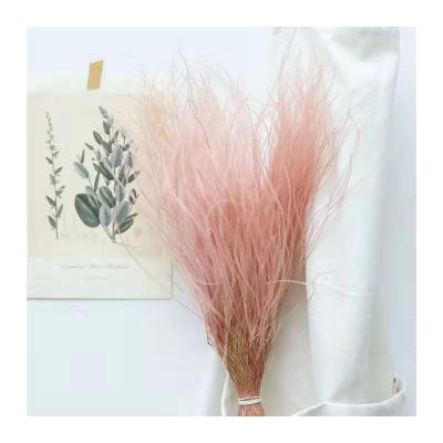 China Decorative dry feathery stipe flowers dried natural dry feathery stipe of flowers and plants for weeding decoration for sale