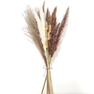 China Party Decoration Yunnan Flower Wholesale Hot Selling Dried Decor Dried Small Pampas Grass Decorations For Wedding for sale