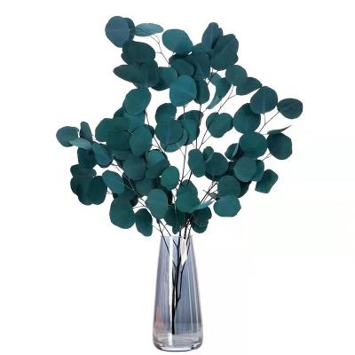 China Home Decor Decorative Flowers Preserved Flowers Eucalyptus Garland Apple Leaves Preserved Eucalyptus Leaves Eucalyptus Branch for sale