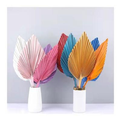 China Artificial Flower Palm Leaves Natural Treated Dry Color Beautiful Artificial Flower Colorful Decorative Flowers Dried Flower Palm Leaves For Wedding Decoration for sale