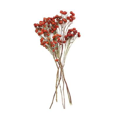 China Dried Flowers 2022 Hot Selling Dried Flowers Dry Rose Hip For Ornament Home Party Decorative Gift for sale