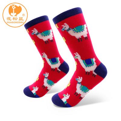 China Anti-Bacterial Alpaca socks peru cute hot young girls child tube sock school socks for sale