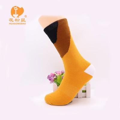 China Fashion Antibacterial Barring Amazing Men's Socks Heated Woolen Sock Business Warm Work Dress Anti Pilling Men Socks for sale