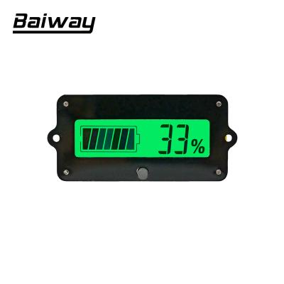 China High Accuracy LiFePo/Battery Cell BW-TY02 80V 100A Lead Acid Battery Monitor Indicator Tester Coulomb Counter for sale