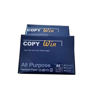 China Factory Direct Wholesale A4 Low Price 1000 RAM 80gsm 160 CIE Custom Color A4 Copy Paper for sale