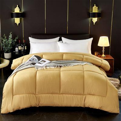 China Wholesale Antibacterial Breathable Comforter Winter Europe Size Fluffy Thickened Comforter Peel Friendly Luxury Satin Comforter for sale