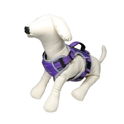 China Good Quality Popular Product Padded Dog Harness Dog Harness Hot Selling Eco Friendly Set for sale