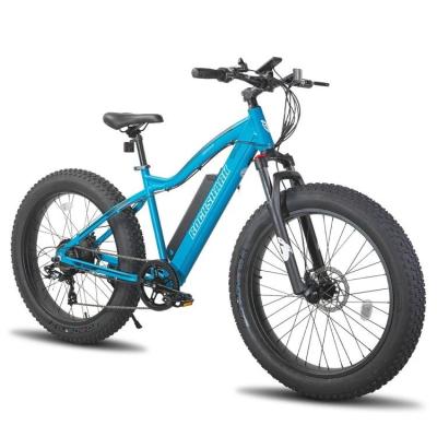 China Wholesale 26-inch 500W 48V Beach Snow Electric Bikes for sale