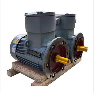 Cina Industry Application Asynchronous Three Phase Flame Proof Electric Motor in vendita