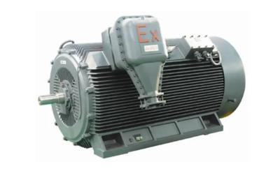 China YBL Motor Hoogspanningsvariabele snelheidsregeling Driefasige asynchrone motor Te koop