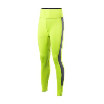 China OEM Antibacterial Warm Service Price Quality Long Long Sale Women's Breathable Wetsuit Pants for sale