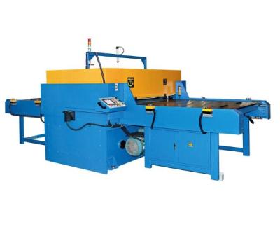 China Leather Double Side Automatic Feeding Press Die Cutting Machine For Plastic Wrapping for sale