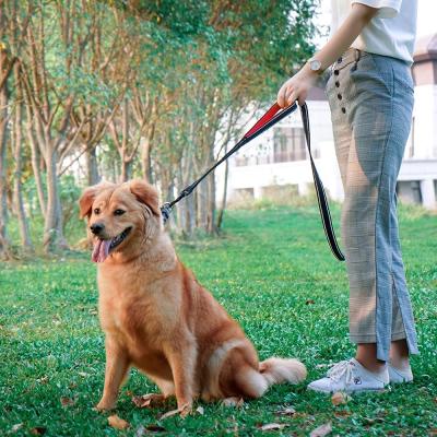 China 2021 New Design Soft Reflective Nylon Dog Leash Two Padded Handles Double Handles Pet Advance for sale