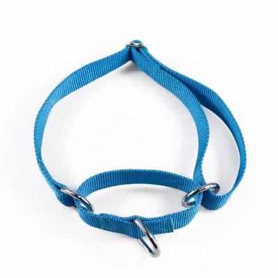 China DETACHED Popular Safety Quick Release Martingale Slip Waterproof Nylon Collar For Dog for sale