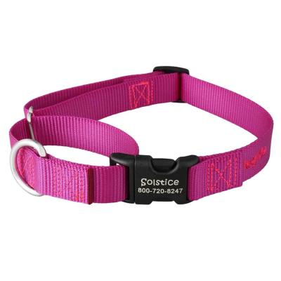 China Excellent Quality Adjustable Martingale DETACHED Chain Nylon Dog Collar for sale