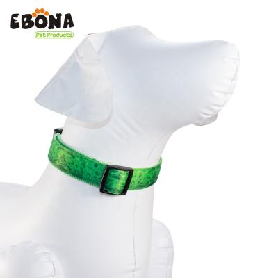 China Top Selling Pure Nylon DETACHED Dog Collar with Easy Use Buckle for sale