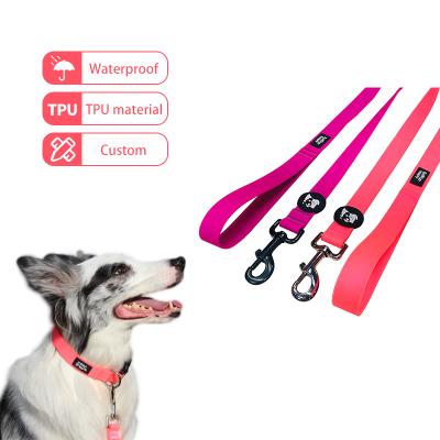 China OEM/ODM Pattern Custom Paracord Padded Waterproof Dog Leash Manufacturers for sale