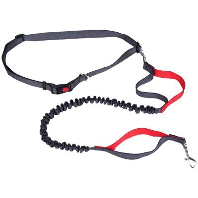 China Hot Sale 2 Bungee DETACHED Nylon Hand Grips Free Dog Leash For Running for sale