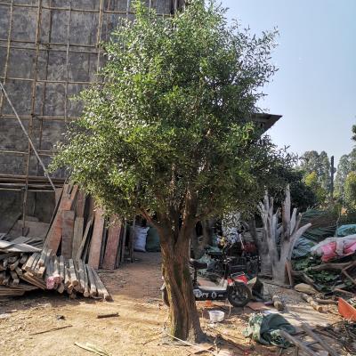 China New fashion eco-friendly design plastic olive tree artificial for indoor and outdoor decoration for sale