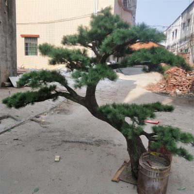 China Plant Traditional Indoor Decorative Plastic Artificial Japanese Pine Hotel Potted Bonsai Trees for sale