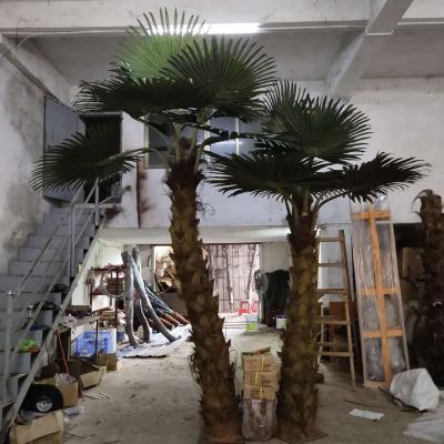 China Wholesale 5m Modern Artificial Washington Palm Tree Outdoor Decorations for sale