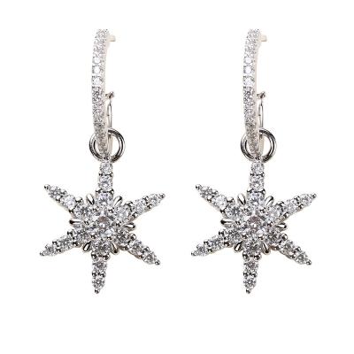 China Wholesale Gorgeous A Star Earrings 925 Sterling Silver Women's Soft Temperament Zircon Jewelry for sale