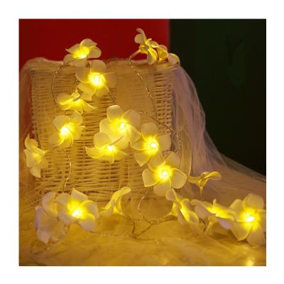 China Hawaii Frangipani Flower Hawaii Frangipani LED Flower String Lights LED Artificial Flower Battery Operated String Light for sale