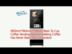 1830mm*664mm*700mm Bean To Cup Coffee Vending Machine Making Coffee Has Never Been This Convenient