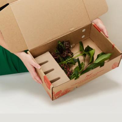 China Custom Recycled Materials Printing Plant Shipping Packaging Boxes Live Plant Outdoor Easy Take Plant Packages Listing Packaging Box for sale