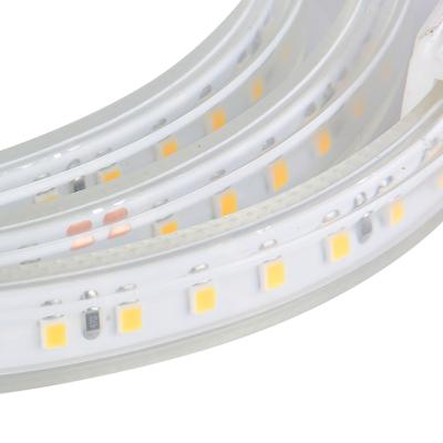 China JHOW D212 Residential Cheap Price Indoor Decorative 120 Array Light Transparent Christmas 11W/m Dual 2835/120 LED Strip Light for sale