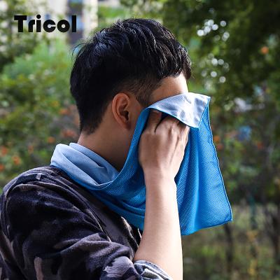 China Microfiber Cool Towel Cooling Towel (14