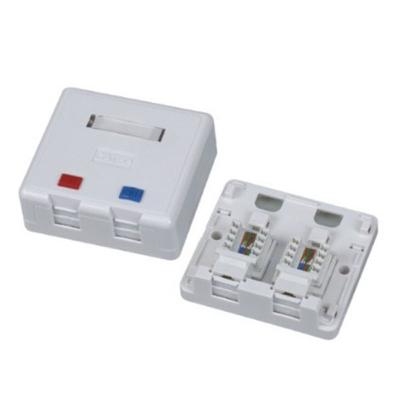 China Application: NT-LINK RJ45 Dual Port Networking Plastic Outdoor Network Box for sale