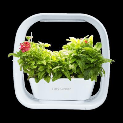 China Novelty LED Plant Grow Systems Automatic Light Adjustment Light Home Indoor Smart Garden for sale