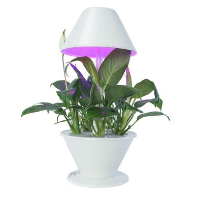 China Various Novelty Home Plants Growing System Hydroponic Adjustable Light Indoor Smart Garden for sale