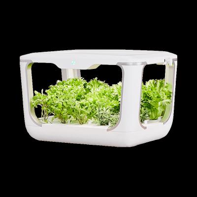 China Minimalist Smart Garden Indoor Growing Garden Planting Tools Vegetable Planter Machine for sale