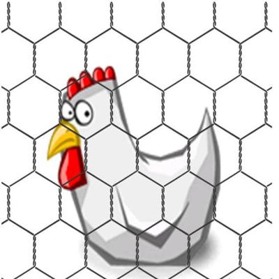 China Fence Mesh Chicken Cage Wire Netting Chicken Wire Mesh for sale