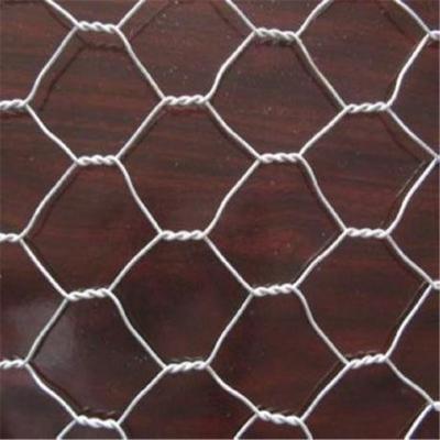 China Barrier Mesh Poultry Fencing, Chicken Wire and Hexagonal Chicken Cage Wire Netting Poultry Farm Netting for sale